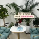 하임케어글로벌 | 익산 피부관리 맛집: 부송동 ‘리피어에스테틱’ 웨딩관리 추천