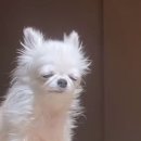 아크로에프(ACRO-F) | 나홀로 5박 6일 일본 [오사카] 1) 준비-숙소,항공권