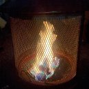 아이펀 어린이집 | 육 월 일 기