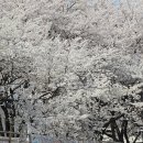 약동경로당 네이버블로그