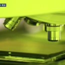 삼성정비공장 이미지