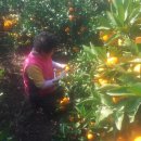 유나네농원 이미지