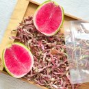 반딧불반찬 이미지