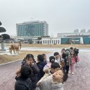 🧑‍🌾세종1반-농촌진흥청 농업과학관🧑‍🌾 이미지