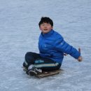 용인대 제일 태권도장 이미지