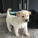 내가초등학교 이미지