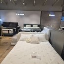 선택 | 까사미아 침대프레임 슬립퍼 비교 선택 후기