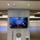 유정의원 | [강남 레이저제모] 강남 브라질리언제모 완벽하게 받은 솔직한 후기