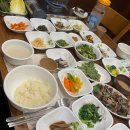 사코러스레드