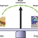 지금! 여수 이미지