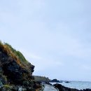 제주 올레길 15코스 B 이미지