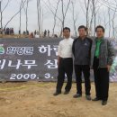 고향하림