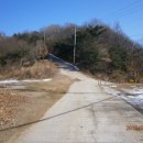 장파1 Daum카페