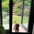 용연재 이미지