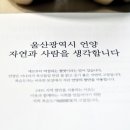 복순도가