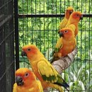 동물치유쉼터 이미지