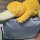 모현운동화,이불크리닝 | 런드리고 이불 세탁 후기와 사용방법｜0원으로 솜이불 세탁을 문 앞에서 수거 배송까지