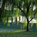 지도센터-3 이미지