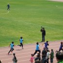 아림초등학교 이미지