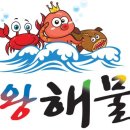 해왕낙지 이미지