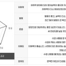 룰루영어 이미지