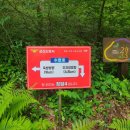 신기4길 이미지