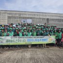 평화숲 경북매일