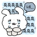 디에스하우징 이미지