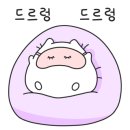 쏘뷰티 이미지