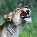 성대한의원 이미지