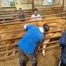 강릉축산 이미지