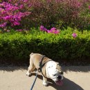 빠리빠리 이미지