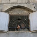 헤브론그룹(HEBRON GROUP) | Palestinians Daily Life(22-1125)