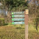 일자산 제1체육관 뒤쪽 이미지