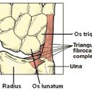 세종시365으랏차한의원 이미지