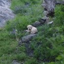 업동이네 이미지