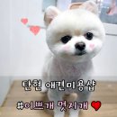 이쁘개멋지개 이미지