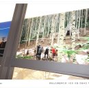 분당노인종합복지관 이미지