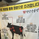 천일양곱창 한우곱창전골 솔직후기(온천장곱창 맛집추천)