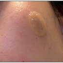 엘로디의원 이미지