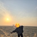 샌드스탑 | 몰디브 신혼여행 #3] 카타르 도하 일일 사막투어 샌드보딩 사막일몰