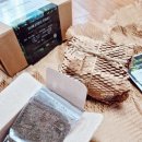 책상 위의 작은 정원, 테라리움 만들기 | 테라리움 LED무드등: 책상 위 작은 정원, 특별한 선물 추천