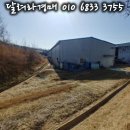 하류리 경로당 네이버블로그