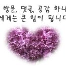 산골견과