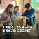 상계3.4동 주민센터 뒤 | [플래닛주민센터] 디지털 주민증 들고 떠난 국내소도시여행 : 밀양 봉사여행 후기