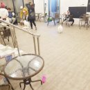 도그마루(왕십리점) 이미지