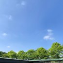 그늘막35 | [경기 시흥 낚시카페] 빈손으로 당일 낚시 패밀리야외낚시카페