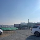새마을손짜장 이미지