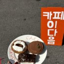 카페이다음 이미지