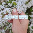 맘스네일현풍점 이미지